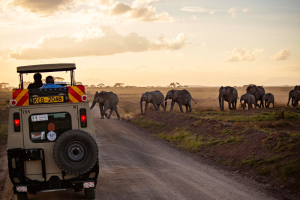 Serengeti With Zanzibar Extension Safari Tour Packages